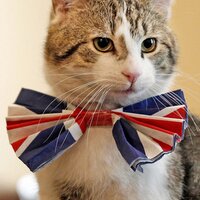 Larry Downing St (@larrydowningst1) 's Twitter Profile