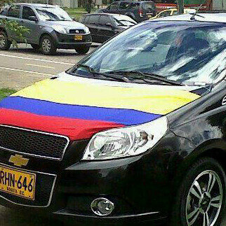 divarma's profile picture. 