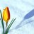 Monerah211's profile image