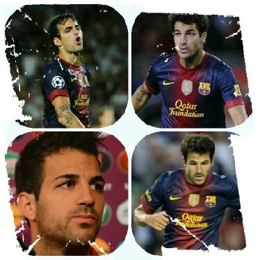 FanBase Cesc Fabregas From Indonesia | We Love Cesc Fabregas | We Share Update News FootBall | #ViscaBarca