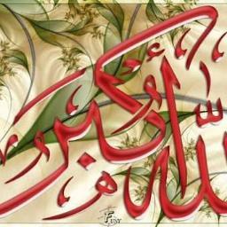 naglaa50's profile picture. 