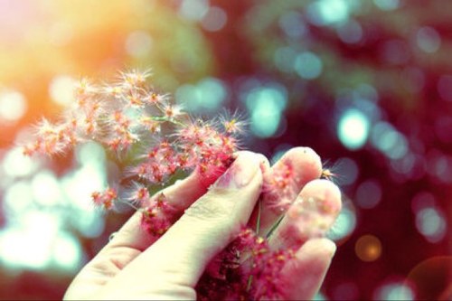 AstiSalmalia's profile picture. 