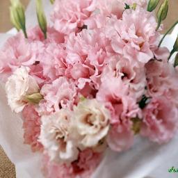 PR_ASPERA's profile picture. Вдохни в свое сердце ароматерапию. Вдохни силу природы! Рецепты фитокосметики, мастер-классы, аромапсихология и секреты сексуальности.  #Взаимныйфолловинг