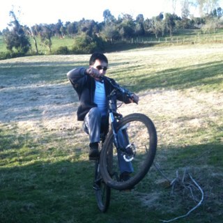 mazaivy's profile picture. 