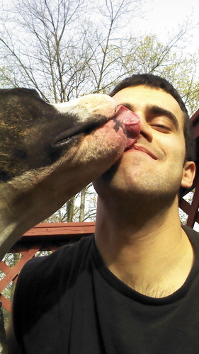Dog Trainer/ Behaviorist