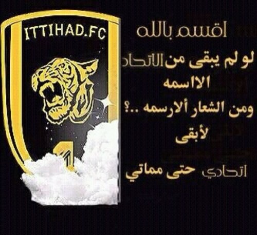 Bander28700095's profile picture. 