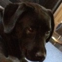 Alex McAlpine - @AlexMcA - Twitter