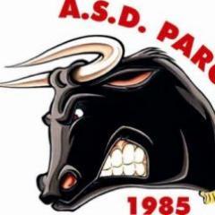 ASDPARCOCITTA's profile picture. SQUADRA DI CALCIO A 5 - Gemellata con Llaneros Futsal club(Venezuela)
CATEGORIE: Juniores, Allievi, Giovanissimi, Esordienti, Pulcini, Piccoli Amici