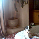 Ms. Joy Thornhill - @Scitime - Twitter