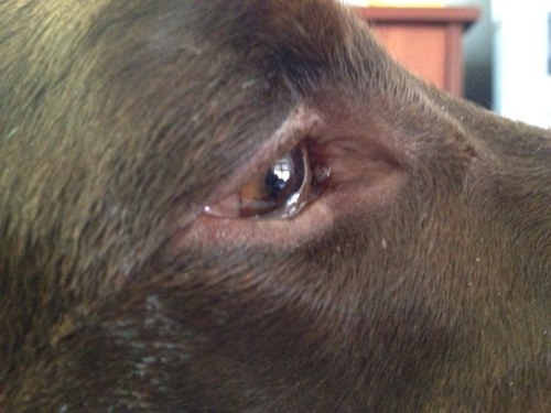 Peggyboos's profile picture. 