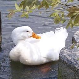 djhitaki's profile picture. 最近ゲーセンもご無沙汰でな・・・