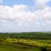 In Pembrokeshire (@inpembrokeshire) Twitter profile photo In Pembrokeshire (@inpembrokeshire) Twitter profile photo