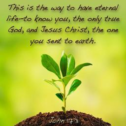 JESUS always give the best for us
~¤上帝说;我爱你 ¤~
..[ lakukan apa yg kau ingin org lakukan kpd mu juga ]..
Try to be better..
