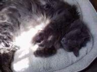 nweaver22's profile picture. 