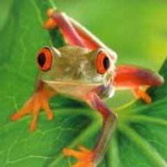 DawnWms's profile picture.