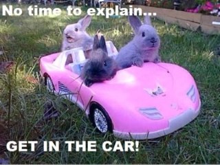 Miffed22001's profile picture. I do some sports betting
I don't do tipping
will get rants and occasional laughs