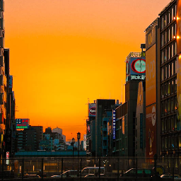 Sibos2012's profile picture. 