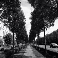 Thomas J Photography (@thomasjphoto) 's Twitter Profile