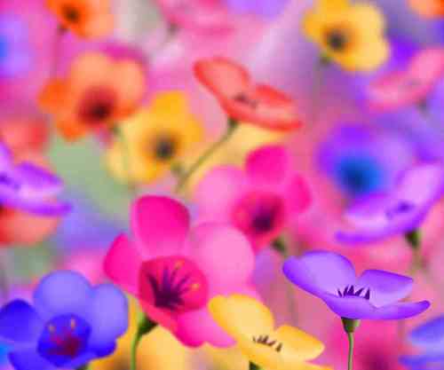 socochoc's profile picture. 