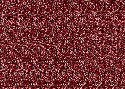 pat47proportion's profile picture. 