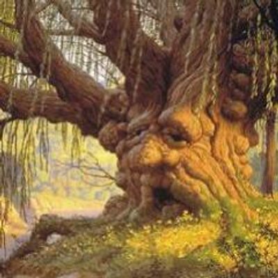 El Viejo Roble Saviadelarbol Twitter