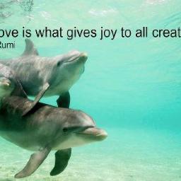 Love is what gives joy to all creation....

Rumi