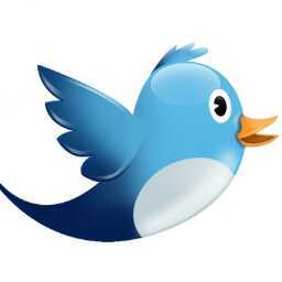 LimonLeon's profile picture. ginecologo