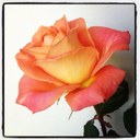 Sheila Dewberry - @sheiladewberry - Twitter