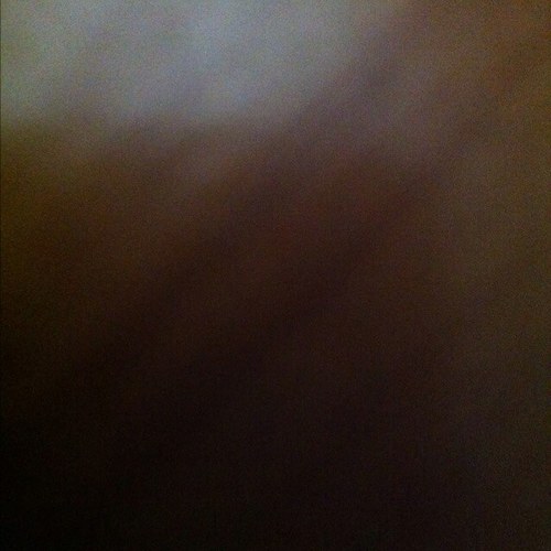 elliegirlxo's profile picture. 