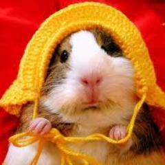 ReallyFunny1's profile picture. I'm just a normal teen who likes to tweet:) #FollowsBack