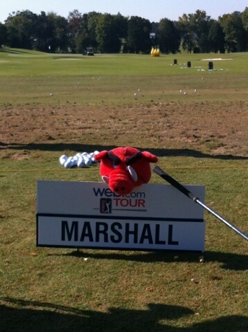 Professional Golfer