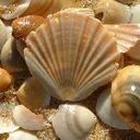 Cindy Newton - @cnewton54 - Twitter