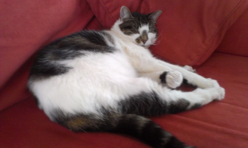 lyndarivett's profile picture. 