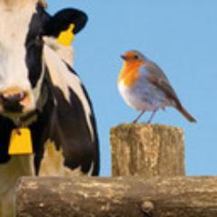 paarden - training - fokkerij - zorg & dagbesteding  - landschapsbeheer - educatie - duurzaam