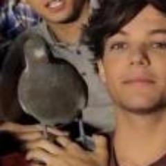 La mascota de One Direction solo verdaderas directioner lo entienden si me sigues gracias 3 te sigo de vuelta