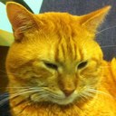 Kristy Jo Knutson - @kristyjk36 - Twitter