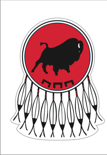 The Piikani Nation is a member of the Blackfoot Confederacy consisting of, the Bloods/Kainai, the Siksika/Blackfoot, and the South Piegan/Blackfeet in Montana.