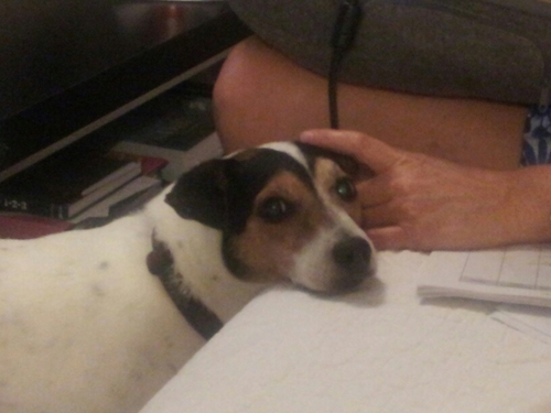 manoloacosta11's profile picture. 