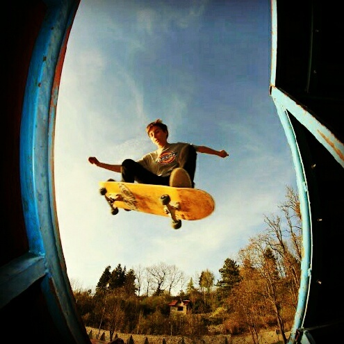 skate life