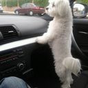 loli hernandez - @chikidolores - Twitter