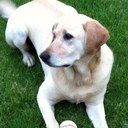 Shawn Dolan - @ShawnDolan - Twitter