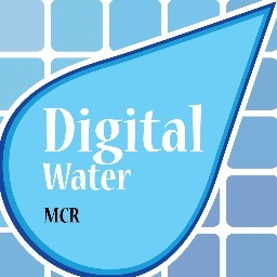 Immersing your business in the digital world #digitalwatermcr #DMCM1213