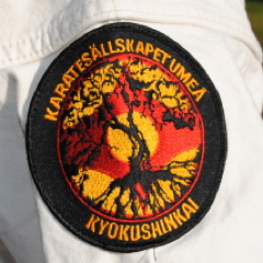 Välkommen till KS Umeås twittersida. Precis som namnet avslöjar tränar vi karatestilen Kyokushinkai. Kolla in hemsidan!