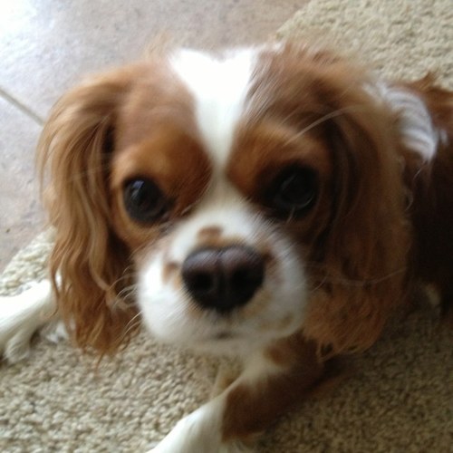 jenkinsj10's profile picture. 