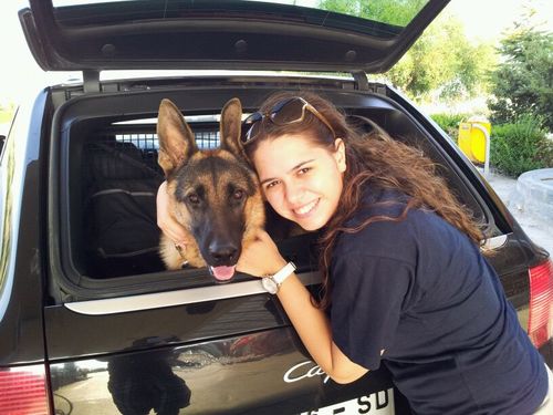 NazliTokel's profile picture. 