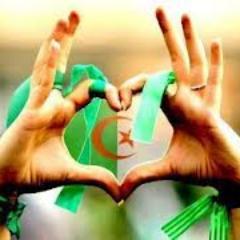 gastimau's profile picture. 