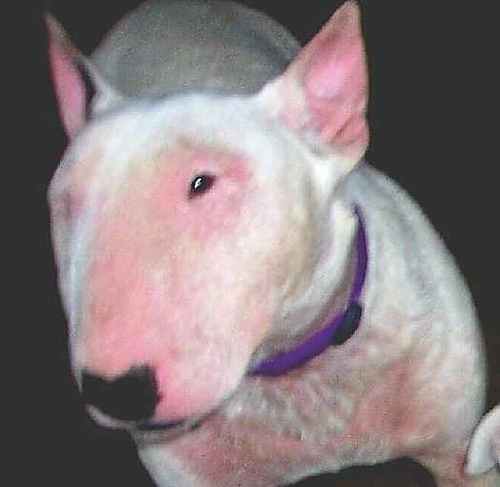 jlanotjlo's profile picture. J7BUU33G