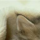 Dennis Booker - @DennisRGBooker - Twitter