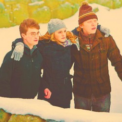 fideliusc's profile picture. It does not do to dwell on other series and forget about Harry Potter.