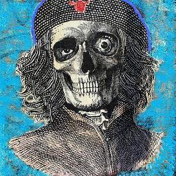 mddree's profile picture. 